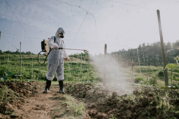Best Affordable Pest Control Services  in Parkwood, WA