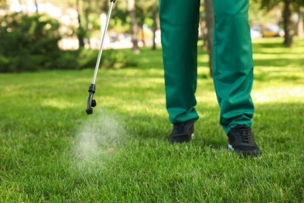 Best Pest Removal Services  in Parkwood, WA