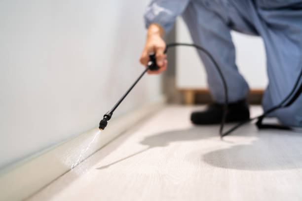 Best Wasp Removal Services  in Parkwood, WA