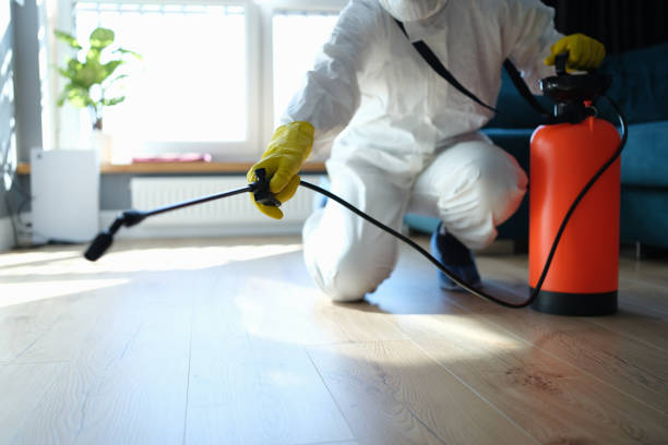 Best Best Pest Control Companies  in Parkwood, WA