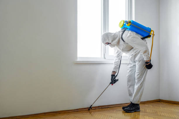 Best Local Pest Control Services  in Parkwood, WA