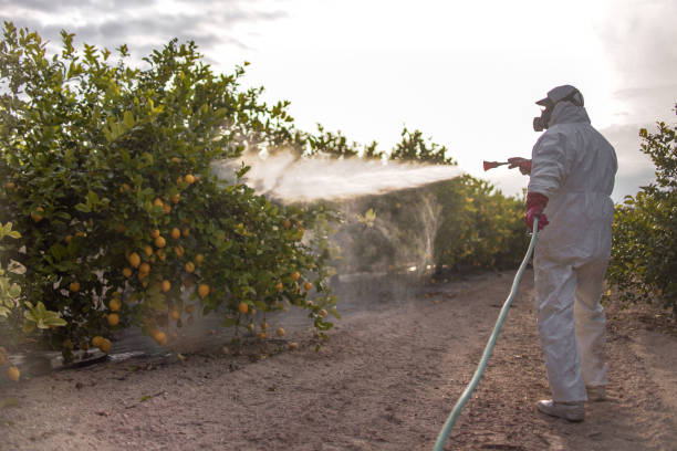  Parkwood, WA Pest Control Pros