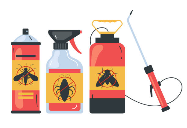Best Affordable Pest Control Services  in Parkwood, WA