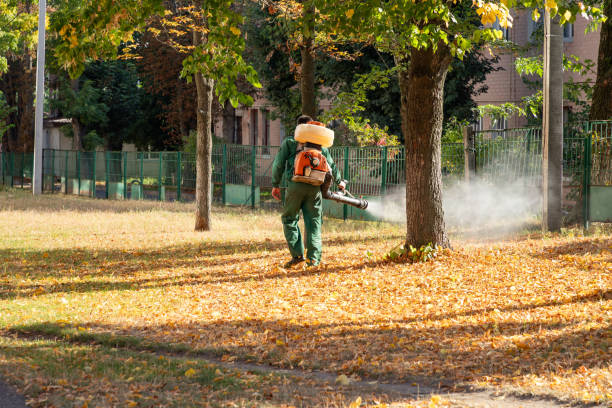 Trusted Parkwood, WA Pest Control Experts