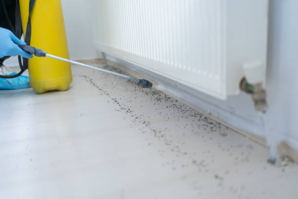 Best Pest Control for Homes  in Parkwood, WA