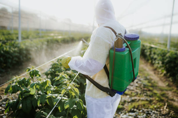 Best Flea Control Services  in Parkwood, WA